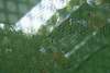 DSCF2137