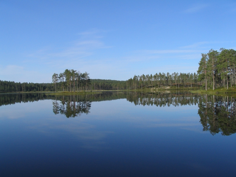 Schwedischer See